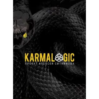 Karmalogic (Кармалоджик). Алексей Ситников