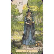 Everyday Witch Tarot (Таро повсякденної відьми). Набір: колода карт + книга. Elisabeth Alba, Deborah Blake