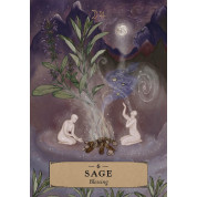 The Herbal Astrology Oracle (Оракул Трав'яної Астрології). Adriana Ayales(колода карт)