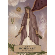 The Herbal Astrology Oracle (Оракул Трав'яної Астрології). Adriana Ayales(колода карт)