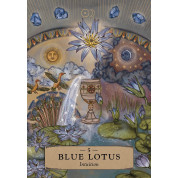 The Herbal Astrology Oracle (Оракул Трав'яної Астрології). Adriana Ayales(колода карт)
