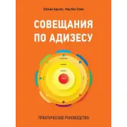 Зімови з Адизасу. Практичний посібник. Шохам Адісес, Нір Бен Лаві