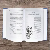 Провокативная терапия. Фрэнк Фаррелли, Джеффри Брандсма
