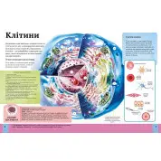 Детская энциклопедия тела человека