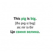 English на ладошках Животные и растения (+13игр)