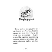 Історії порятунку. Котик-безхатько