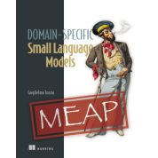 Domain-Specific Small Language Models. Guglielmo Iozzia.