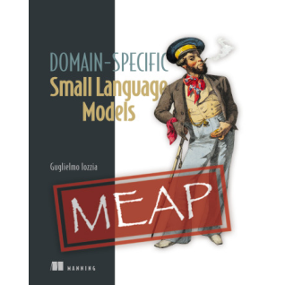 Domain-Specific Small Language Models. Guglielmo Iozzia.