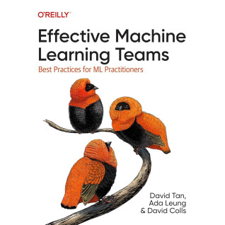 Effective Machine Learning Teams: Best Practices for ML Practitioners. David Tan, Ada Leung, David Colls Effective Machine Learning Teams: Best Practices for ML Practitioners. David Tan, Ada Leung, David Colls