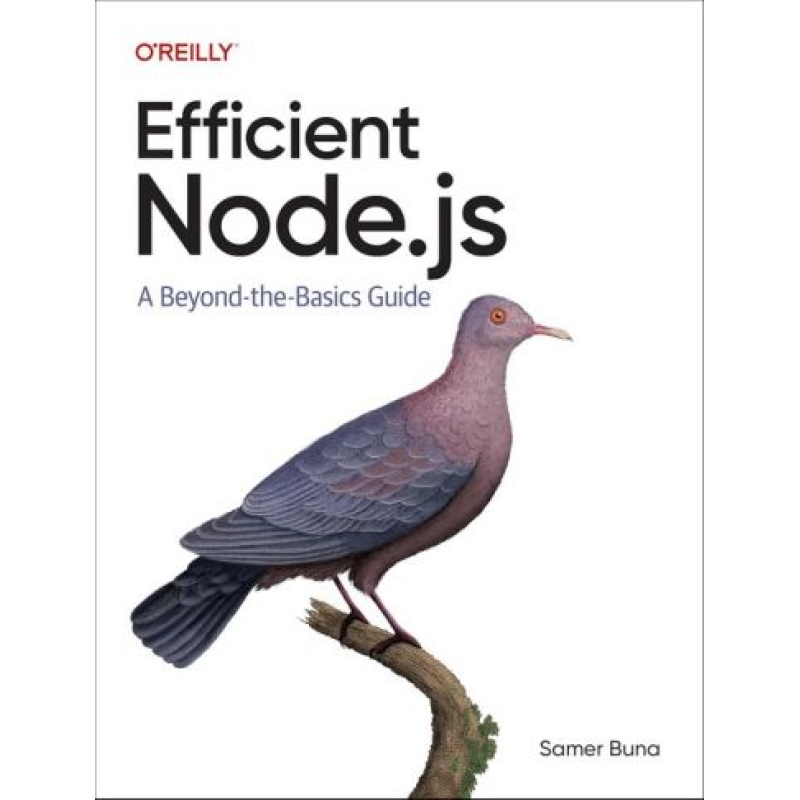 Efficient Node.js: A Beyond-the-Basics Guide. 1st Edition. Samer Buna