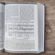 Американська система влади: повноваження і мета. Теодор Дж. Лові, Бенджамін Ґінзберґ, Кеннет А. Шепсл, Стівен Ансолабігір, Гегрі Ган