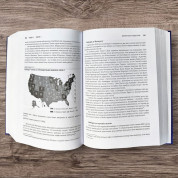 Американська система влади: повноваження і мета. Теодор Дж. Лові, Бенджамін Ґінзберґ, Кеннет А. Шепсл, Стівен Ансолабігір, Гегрі Ган