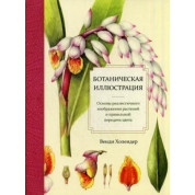Ботанічна ілюстрація. Венді Холендер