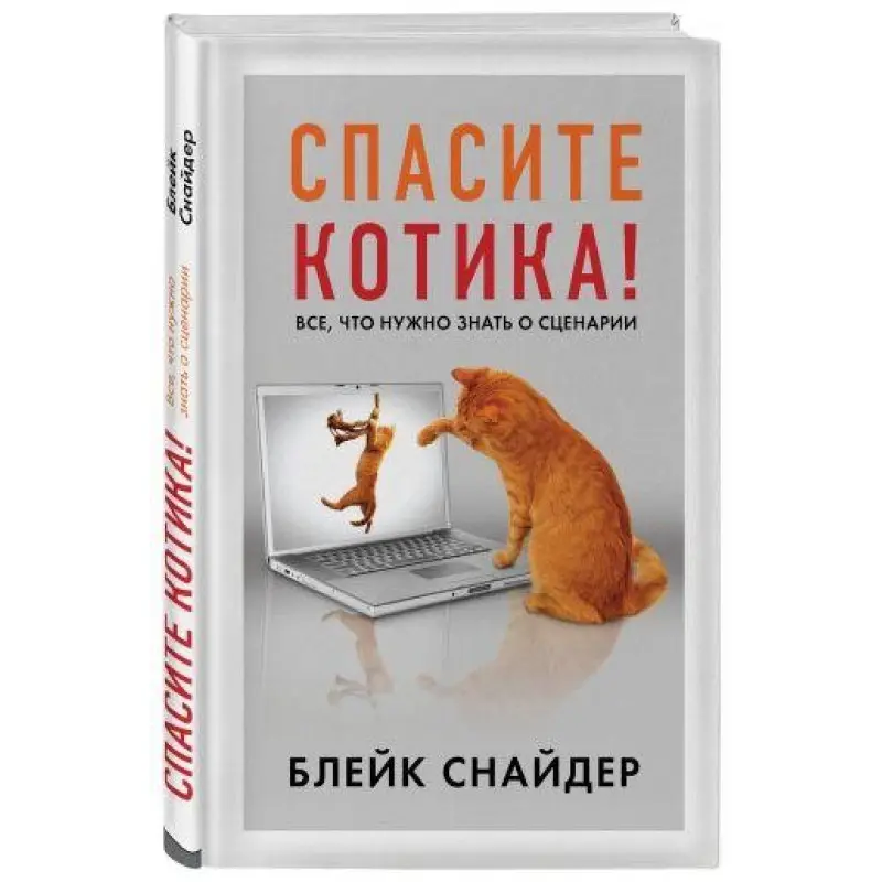Врятуйте котика! Все, що потрібно знати про сценарії. Блейк Снайдер