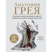 Анатомія Грея. Анатомічні структури з оригінальною і сучасної терми. Білич Р. Л., Зигалова О. Ю.