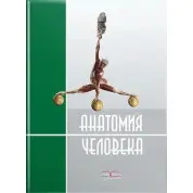 Анатомия человека. 2-е издание. Черкасов В.Г., Кравчук С.Ю.