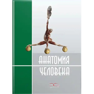 Анатомия человека. 2-е издание. Черкасов В.Г., Кравчук С.Ю. Анатомия человека. 2-е издание. Черкасов В.Г., Кравчук С.Ю.