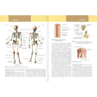 Анатомія людини. Том 1. 9-те видання. Головацький А.С. та ін. Анатомія людини. Том 1. 9-те видання. Головацький А.С. та ін.