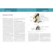 Анатомія людини. Том 2. 7-ме видання. Головацький А. С. та ін.