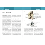 Анатомія людини. Том 2. 8-ме видання. Головацький А. С. та ін.