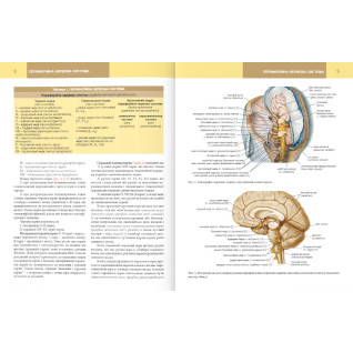 Анатомія людини. Том 3. 7-ме видання. Головацький А. С. та ін. Анатомія людини. Том 3. 7-ме видання. Головацький А. С. та ін.