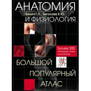 Анатомия и физиология. Большой популярный атлас. Габриэль Билич, Елена Зигалова