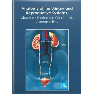 Anatomy of the Urinary and Reproductive Systems.Structural Features in Childhood. Abnormalities. Свинцицкая Н. Л. и др. Anatomy of the Urinary and Reproductive Systems.Structural Features in Childhood. Abnormalities. Свинцицкая Н. Л. и др.