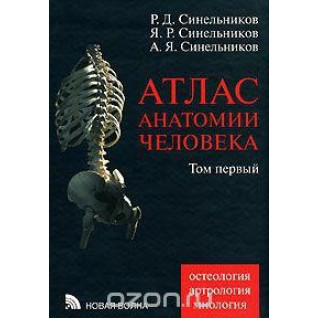 Атлас анатомии человека. В 4 томах. Том 1. Учение о костях, соединении костей и мышцах Атлас анатомии человека. В 4 томах. Том 1. Учение о костях, соединении костей и мышцах