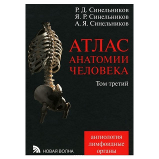 Атлас анатомии человека. В 4 томах. Том 3. Учение о сосудах и лимфоидных органах. Синельников А.Ф. Атлас анатомии человека. В 4 томах. Том 3. Учение о сосудах и лимфоидных органах. Синельников А.Ф.