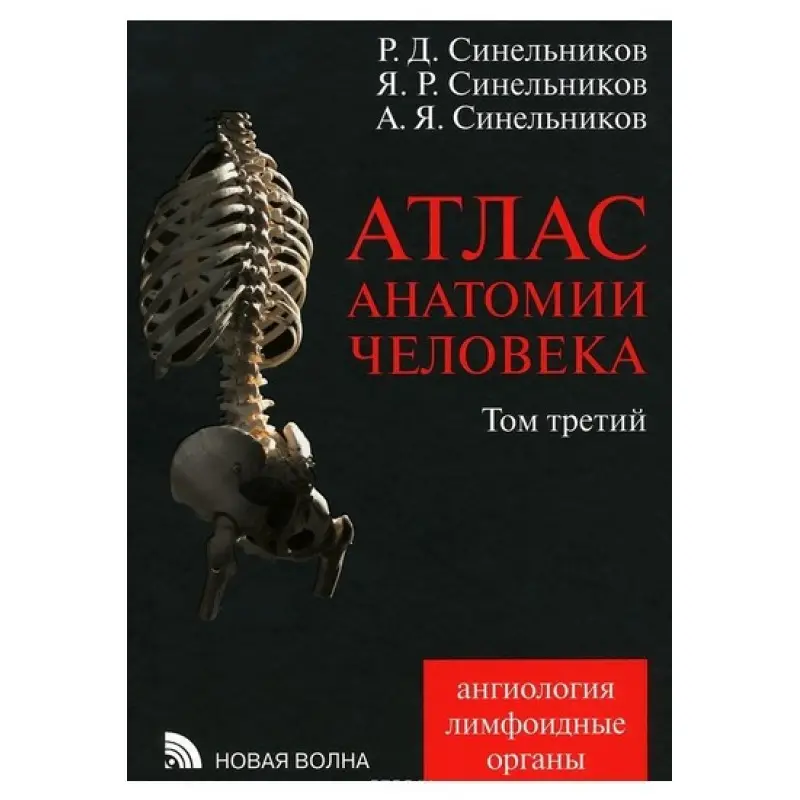 Атлас анатомії людини. В 4 томах. Том 3. Вчення про судинах та лімфоїдних органах. Синельников А. Ф.