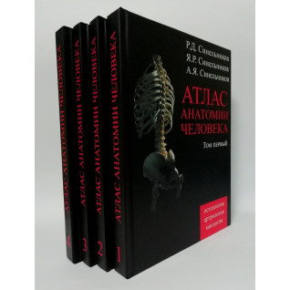 Атлас анатомии человека Синельников в 4-х т.т Атлас анатомии человека Синельников в 4-х т.т