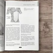 Fascia. Що це таке і чому це важливо. Девід Лесондак