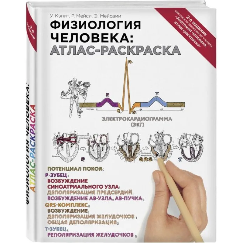Физиология человека: атлас-раскраска. У. Кэпит, Р. Мейси, Э. Мейсами