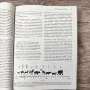 Народжений ходити. Міофасціальна ефективність: революція в розумінні механіки руху. Джеймс Ерлз
