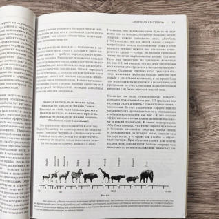 Народжений ходити. Міофасціальна ефективність: революція в розумінні механіки руху. Джеймс Ерлз