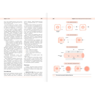 Патофізіологія. Том 1. Загальна патологія. 3-тє вид. Атаман О. В. Патофізіологія. Том 1. Загальна патологія. 3-тє вид. Атаман О. В.