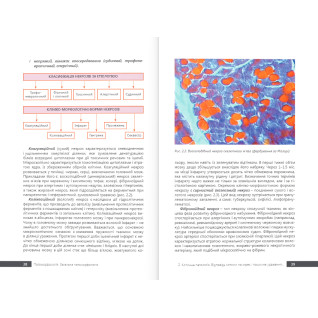 Патоморфологія. Загальна патоморфологія. Боднар Я. Я. та ін. Патоморфологія. Загальна патоморфологія. Боднар Я. Я. та ін.