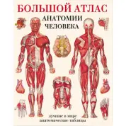 Великий атлас анатомії людини. Найкращі у світі анатомічні таблиці