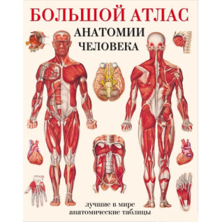 Большой атлас анатомии человека. Лучшие в мире анатомические таблицы Большой атлас анатомии человека. Лучшие в мире анатомические таблицы