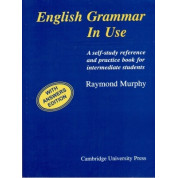 English Grammar in Use. Рэймонд Мерфи