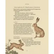 Колесо року: Ілюстрований путівник ритмами природи. Джессіка Ру, Фіона Кук