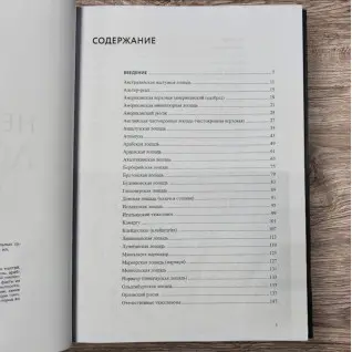 Неймовірні коні. Усе про найграціозніших і найсильніших істот на планеті. Наталя Франк