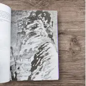Чжуан-цзы Бронислава Виногродского. Книга о знании и власти. Бронислав Виногродский (тв)