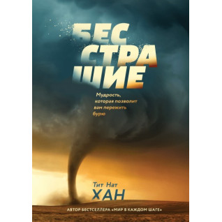 Титат Нат Хан. Безстрашні. мудрість, яка дасть змогу вам пережити бурю