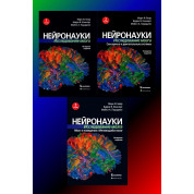 Нейронауки. Дослідження мозку. (комплект з 3 книг). Марк Ф. Беар Баррі У. Коннорс Майкл А. Парадізо