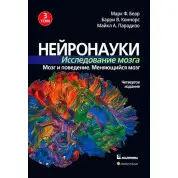 Нейронауки. Исследование мозга. Том 3. Марк Ф. Беар Барри У. Коннорс Майкл А. Парадизо. 