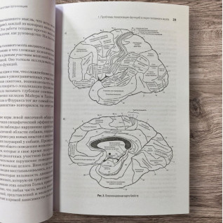 Вищі коркові функції людини. О. Р. Лурія (м'яка обкладинка) Вищі коркові функції людини. О. Р. Лурія (м'яка обкладинка)