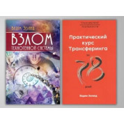 Злом техногенної системи + Практичний курс трансерфінгу за 78 днів. Вадим Зеланд